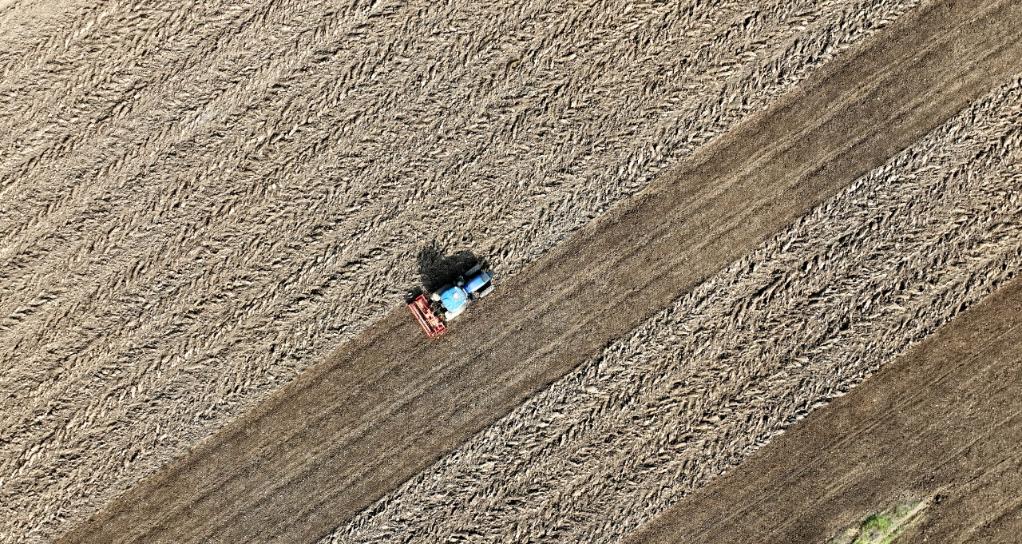 记者手记：晚播晚种，会影响“中原粮仓”明年夏收吗？