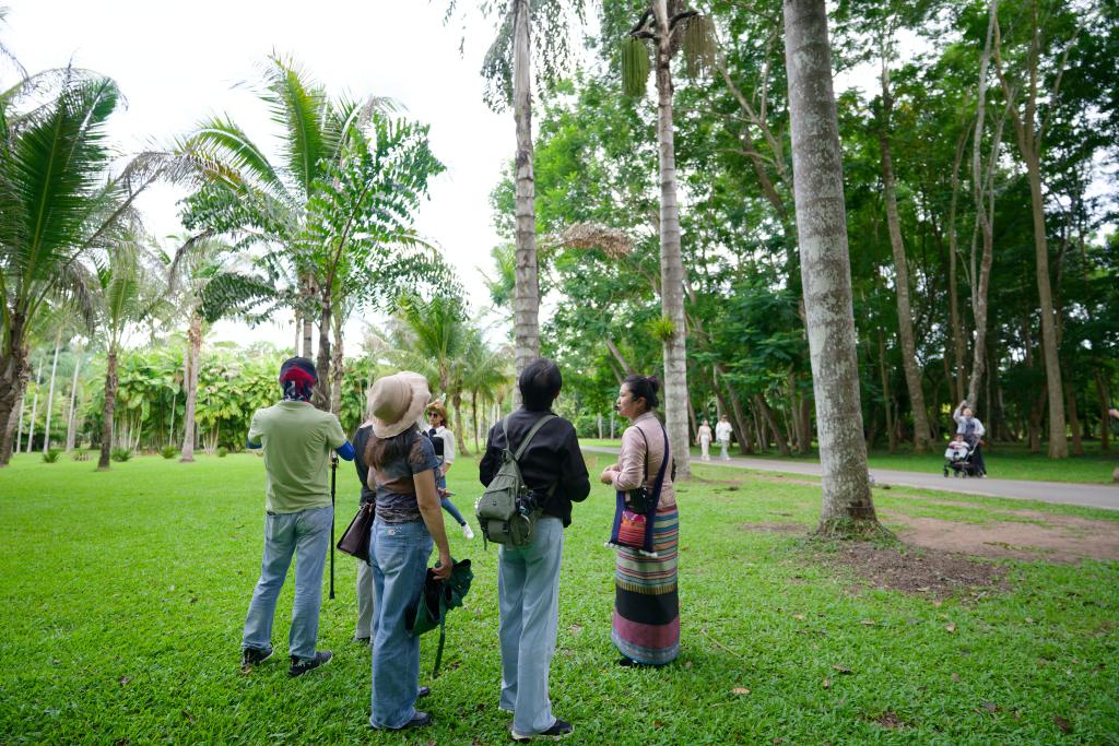 观鸟,不只是观鸟:云南绿水青山间的“新翅膀”