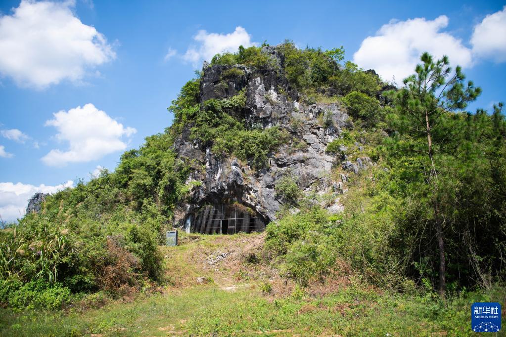 这是8月30日拍摄的湖南省永州市道县寿雁镇的玉蟾岩遗址.