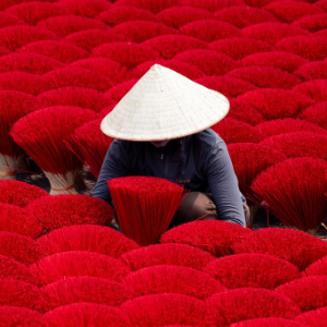 镜观世界｜“香”飘河内-越南首都