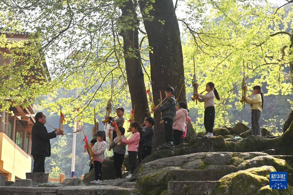 可爱的乡村——村口树下时光慢-在