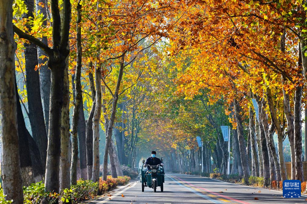 立冬将至 秋韵未央