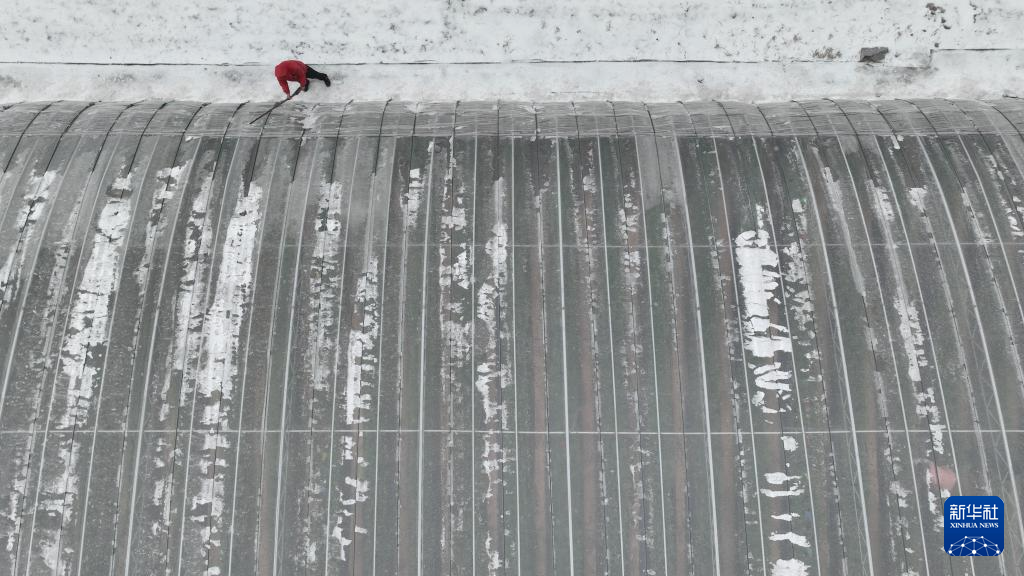 各地积极应对寒潮天气