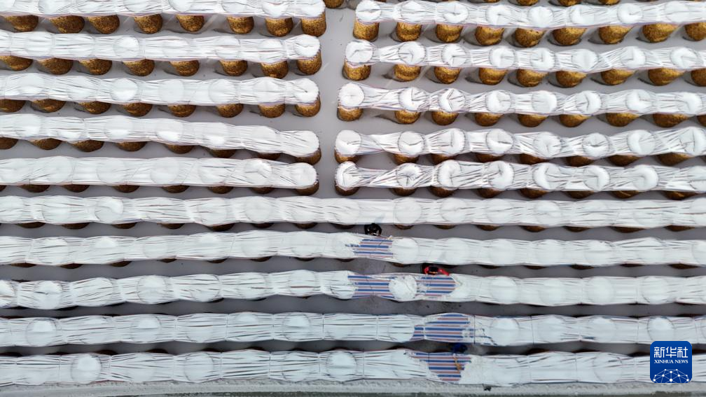 各地积极应对寒潮天气