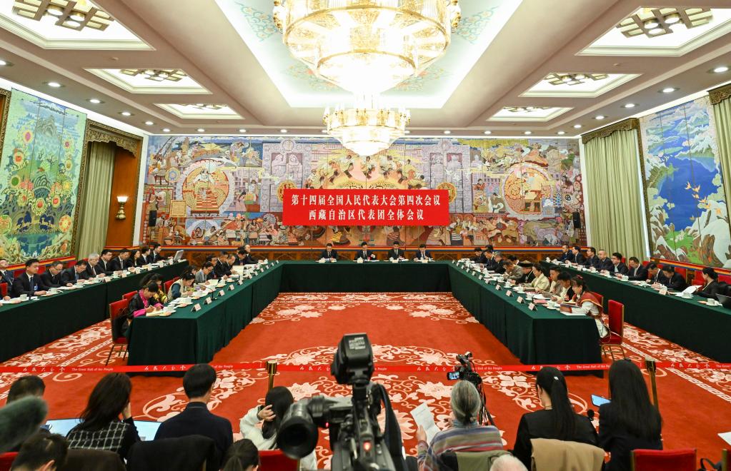 两会丨西藏代表团举行开放团组会议