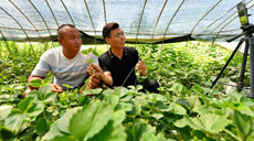 我们村里的年轻人：&ldquo;直播达人&rdquo;