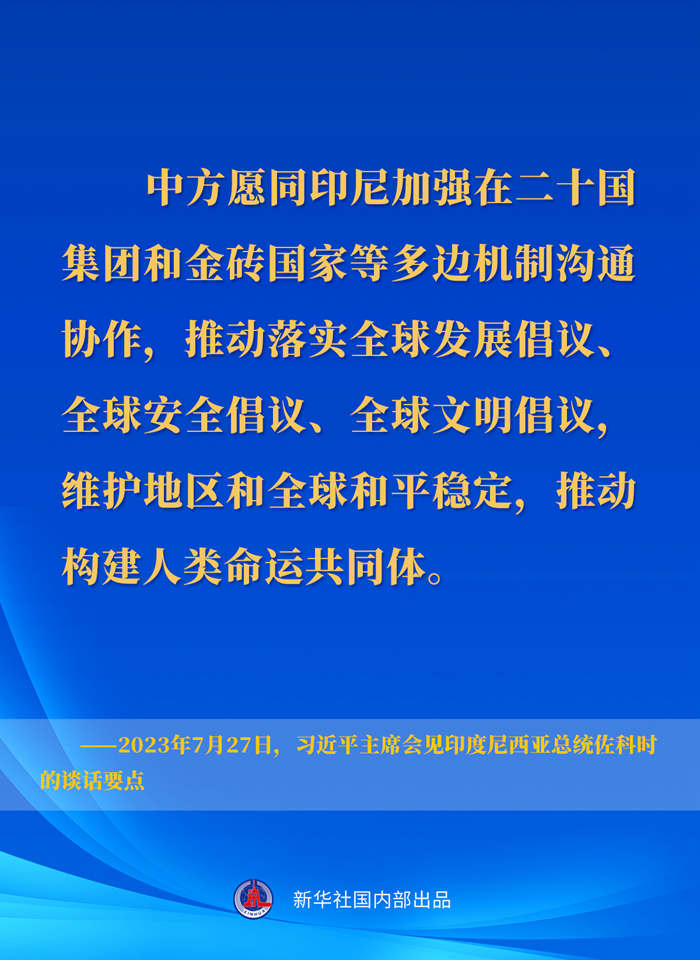 新华社权威速览丨习近平主席会见印度尼西亚总统佐科时的谈话要点-新华网