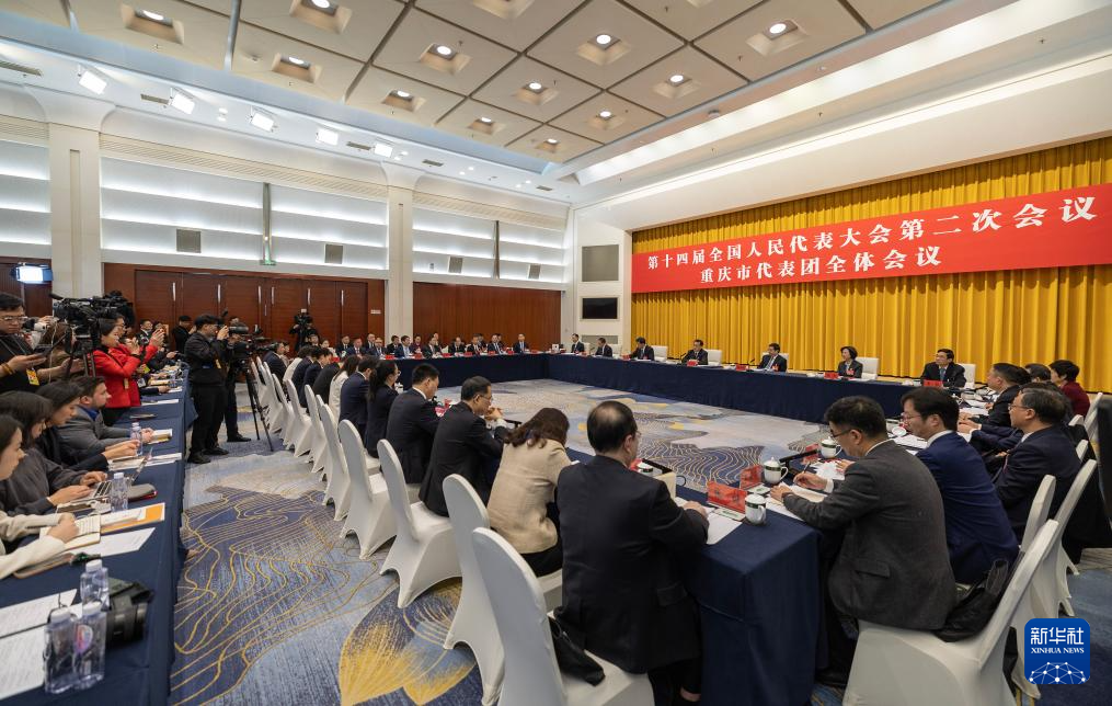 两会丨重庆代表团举行开放团组会议_2024全国两会大型融媒体专题_新华网