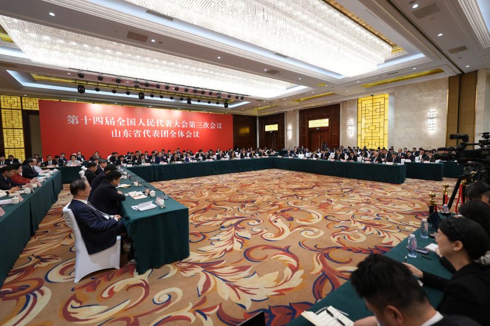 两会丨山东代表团举行开放团组会议_2025全国两会大型融媒体专题_新华网