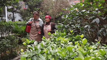 中国故事|传爱心、汇能量:助老社群里的“青春接力”