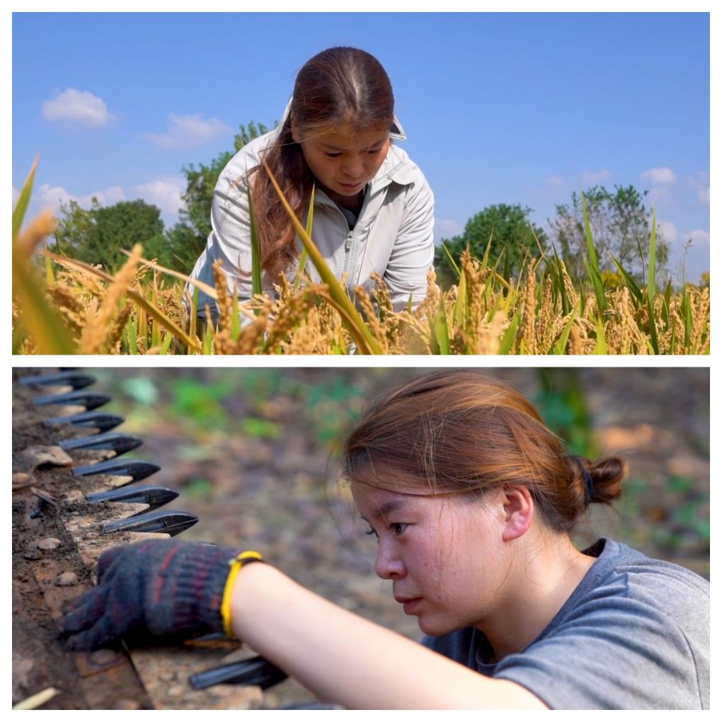 我是“95后”女农机手 