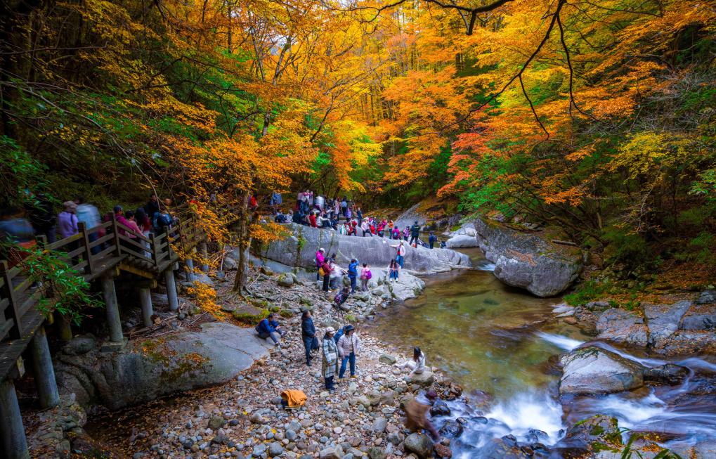 热词看未来丨丰富高品质旅游产品供给
