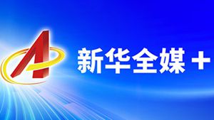乡村振兴齐鲁新实践：片区推进，协