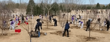 总书记植树造林：绿色约定与生态共享