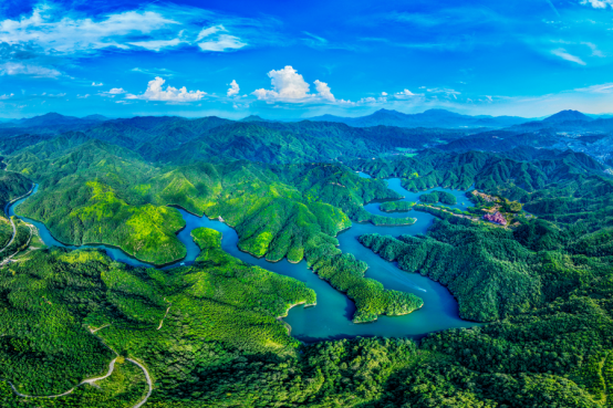 来到这儿，更懂“春眠不觉晓”的松弛感