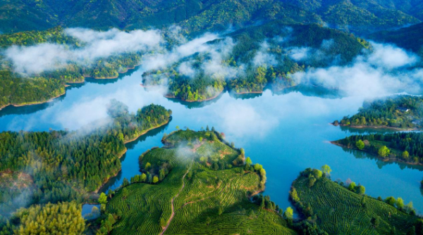 县·观察|江西资溪“生态银行”把“流量”变“留量”