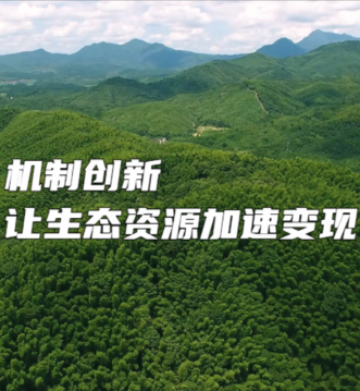 机制创新 让生态资源加速变现