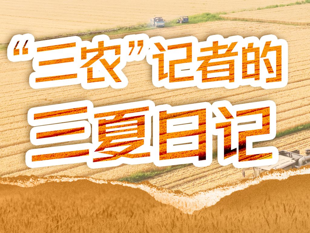 三夏田野间：麦田里孕育的新力量