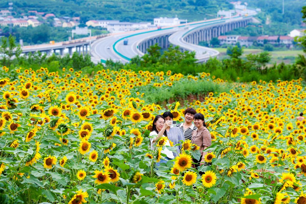 文化中国行丨夏至时节的声音与光影