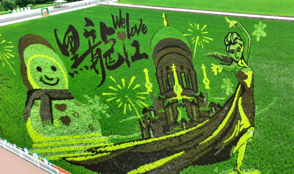 东北黑土区稻田艺术景观焕新登场