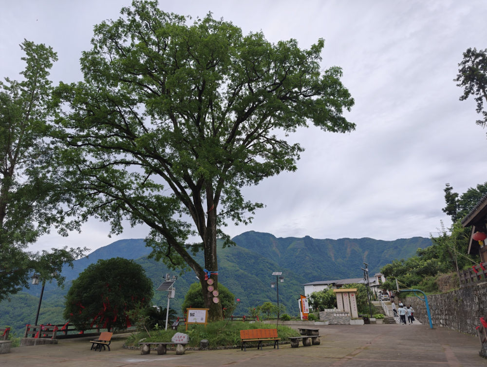 羌寨的传承密码：石椅村七任支书的振兴之路