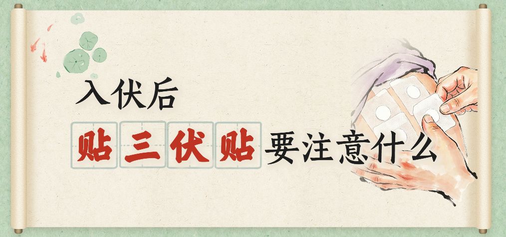 三伏贴使用须知