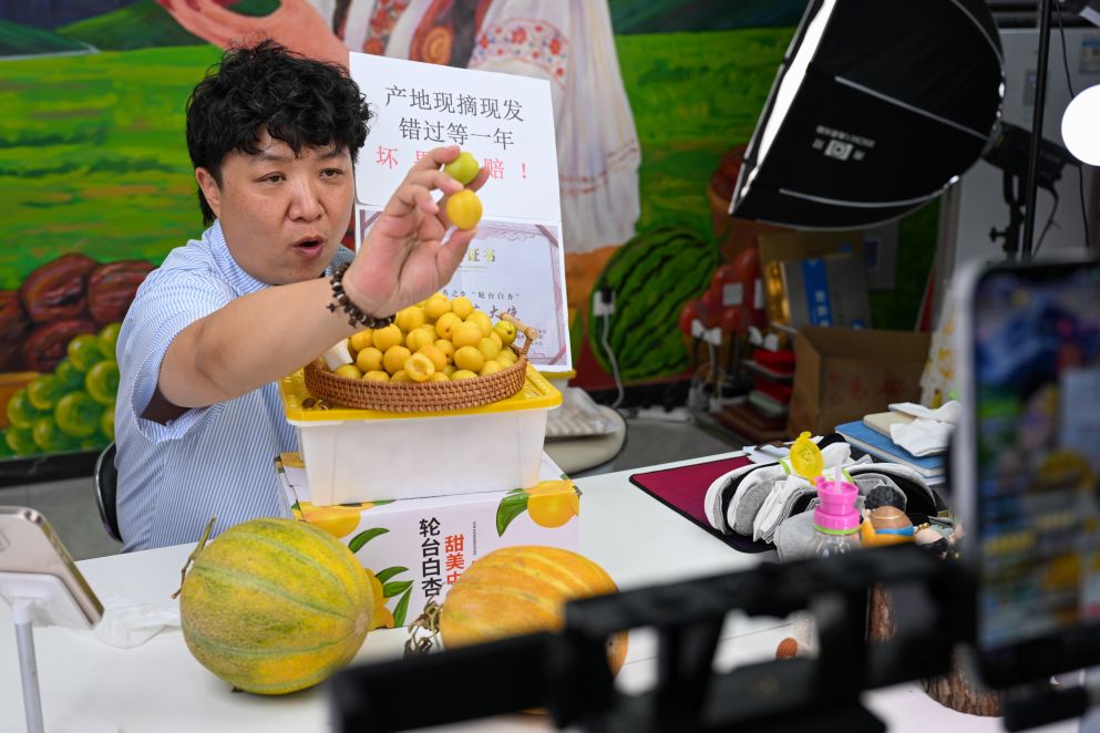 她看见了我：贺娇龙的温暖接力