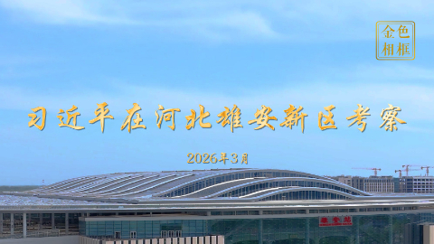 金色相框丨习近平在河北雄安新区考察