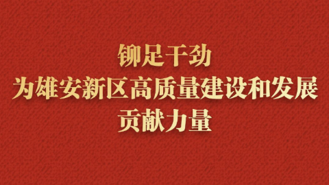 铆足干劲，为雄安新区高质量建设和发展贡献力量