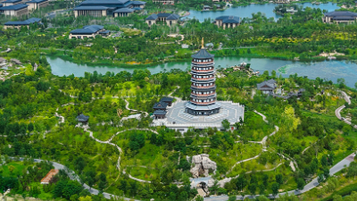 雄安新区拔节生长时间线