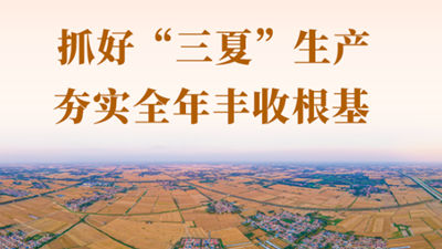 新闻多一点丨抓好“三夏”生产 夯实全年丰收根基