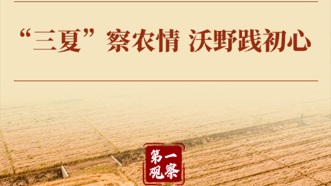 第一观察丨“三夏”察农情 沃野践初心