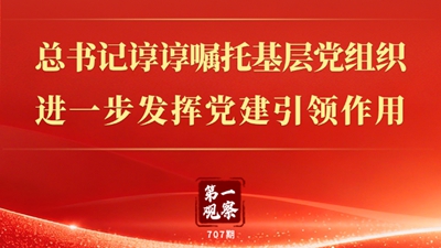 总书记谆谆嘱托基层党组织进一步发挥党建引领作用