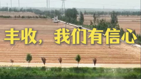 和总书记面对面丨丰收，我们有信心