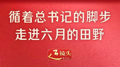 近镜头丨循着总书记的脚步，走进六月的田野