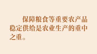 学习新语丨以扎实举措推进农业农村现代化