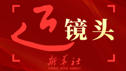 总书记手中这把麦粒凝聚同心奋斗