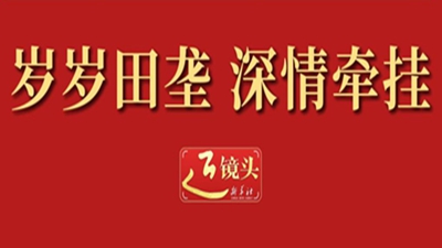 近镜头 | 岁岁田垄 深情牵挂