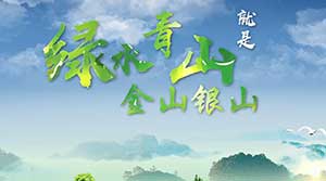 创意视频：木