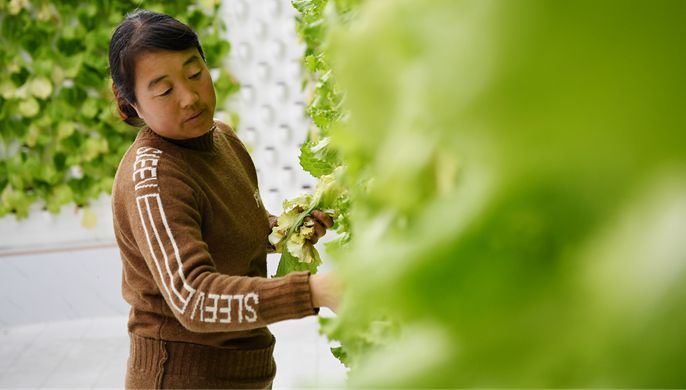 东西部携手 聚力乡村振兴