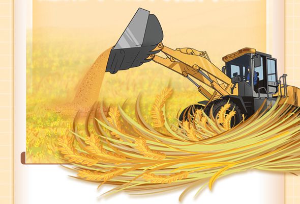 家有粮，心不慌&mdash;&mdash;我国粮食产量连续8年1.3万亿斤以上