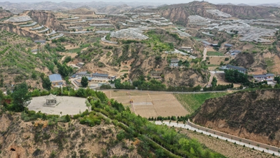 运动防不住血栓？警惕这三个形成因