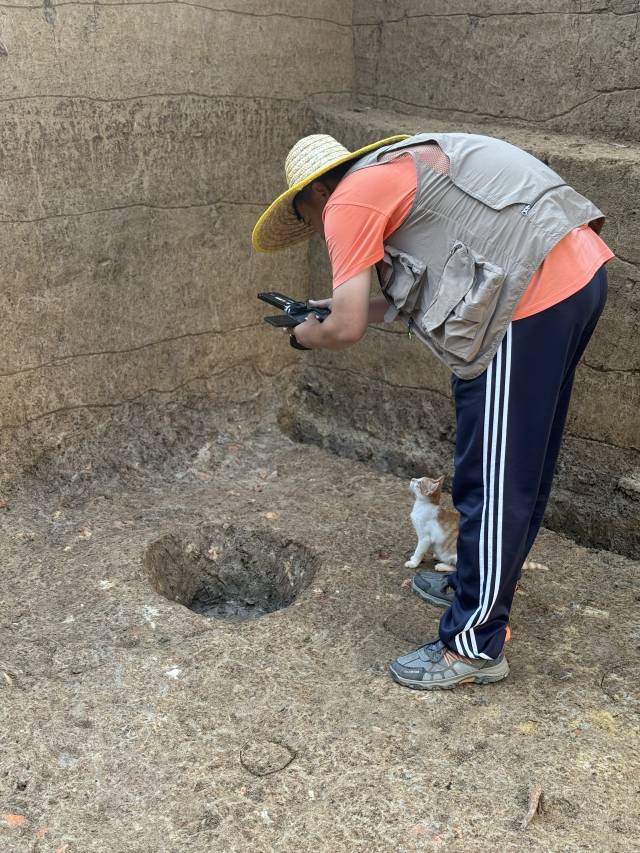 考古队在对柱洞做三维摄影测量,一旁是他们救活的小猫“同事”。 受访者供图 考古队在对柱洞做三维摄影测量,一旁是他们救活的小猫“同事”。 受访者供图