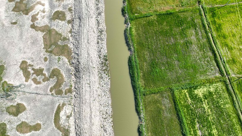 &ldquo;绿色治理&rdquo;使吉林46万亩盐碱地变良田