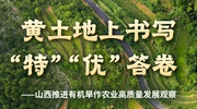 “比特+词元”双轮驱动 通信业共