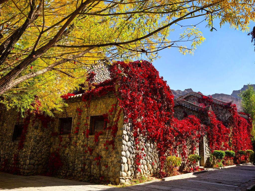 甘肃张掖:丹霞口秋色斑斓