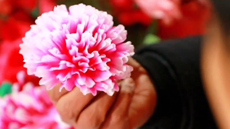 非遗传承之曲阜大庄绢花：圣贤倾心 女子挚爱