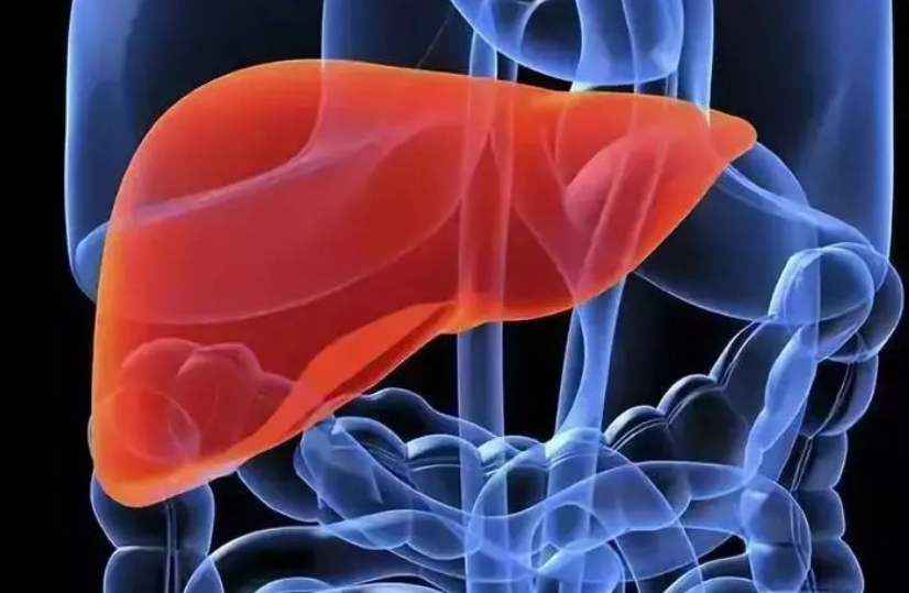 季节性养肝的说法是否正确？