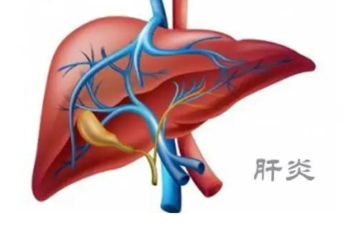 潜伏的健康危机：肝炎