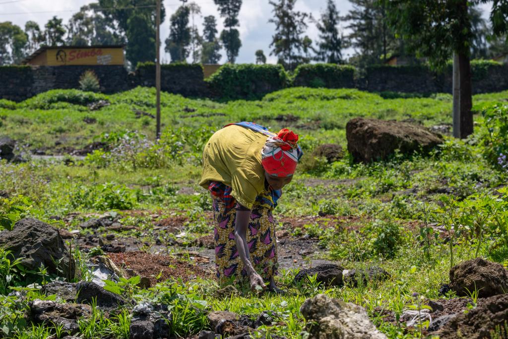 世粮署：援助资金减少致近1400万人极度饥饿